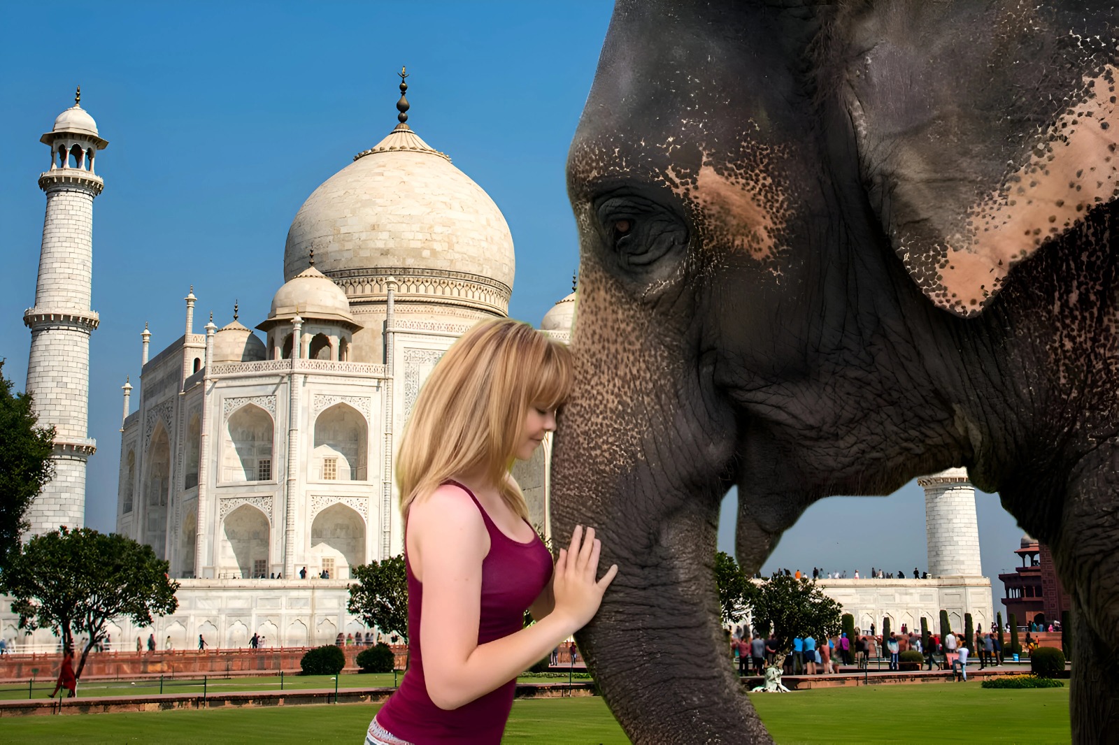 Taj Mahal Sunrise Tour with Agra Fort and Wildlife SOS
